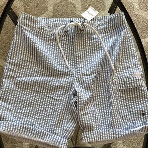 Blue and White Striped Men's Swim Shorts